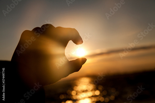 Catching the sunlight during sunset