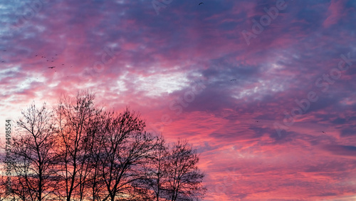 Sunset sky. Cirrocumulus and cirrostratus clouds during sunset. Beautiful dramatic sunset sky background. Selective focus included. Noisy photo.