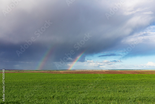 double rainbow over field