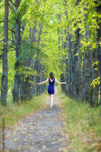 Female in blue dress walking along autumn linden tree alley. © Serg Zastavkin