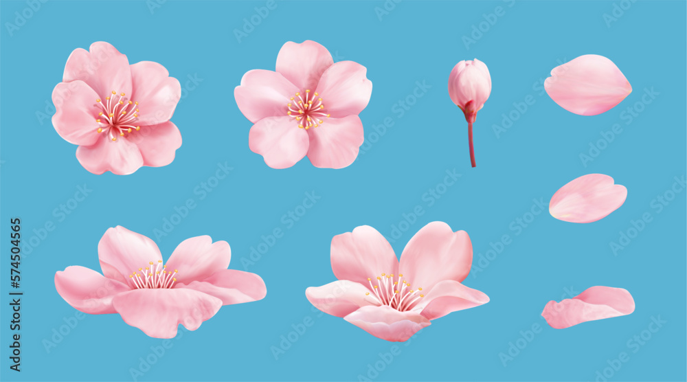 Obraz premium Pink cherry blossom element set