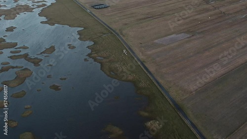 Tilting drone shot of sheep being herded by a crofter on Berneray beach, with the machair (grass plains) in the background. Filmed on Berneray in the Outer Hebrides of Scotland. photo