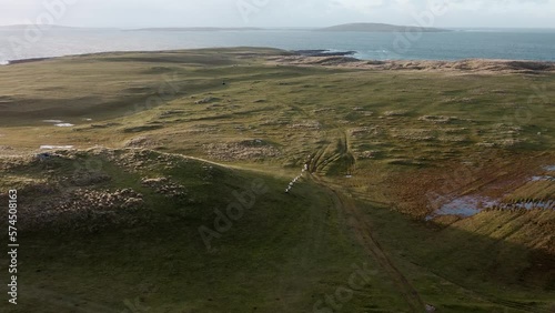 Dynamic drone shot of sheep being herded by a crofter and his sheep dog on Berneray Beach. The machair (grass plains) are in the background. Filmed on Berneray in the Outer Hebrides of Scotland. photo