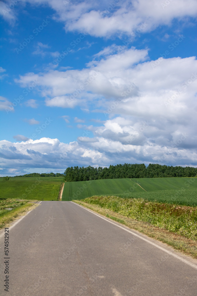 緑の丘陵地帯を通る道と青い空
