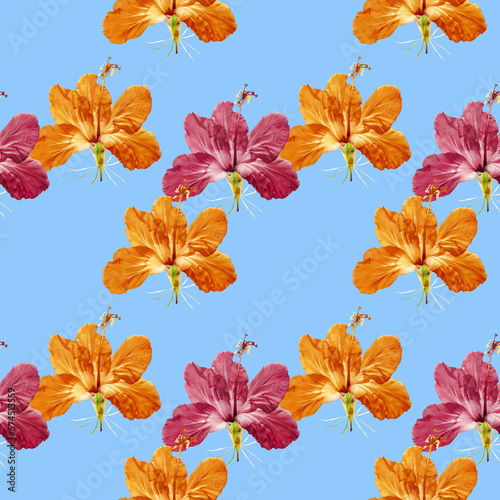 Hibiscus. Floral seamless pattern. Flowers motifs. Collage for textile  cotton fabric  dress. For wallpaper  covers  print. Interior decor. Design for paper  cards. For brochure  banners.