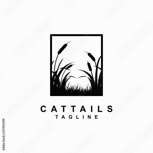 cattails plant vector template. reed grass. water plant graphic illustration.