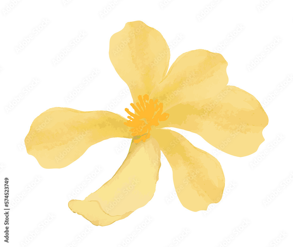 Fototapeta premium Watercolor spring flower