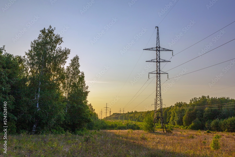 Power line passes through a clearing in the forest in the summer