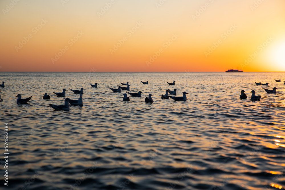 floating gulls seagulls in sea water on yellow blue sunset sky. Birds silhouette, ship, defocused photo