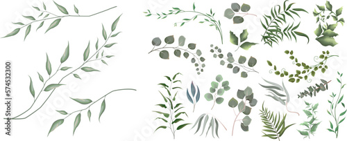 Mix of herbs and plants vector big collection. Juicy eucalyptus, green plants and leaves. All elements are isolated 
