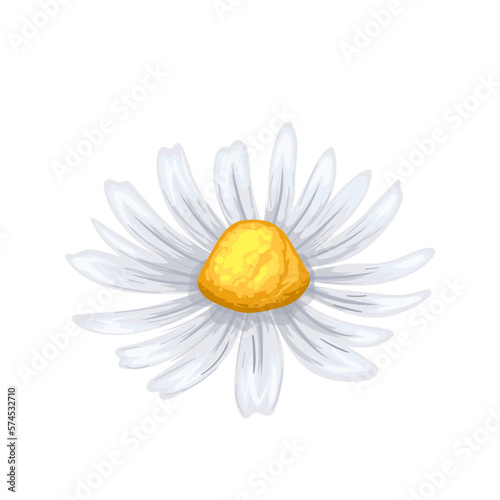 daisy flower summer cartoon vector illustration color sign