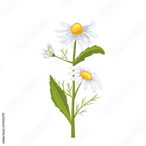 Wallpaper Mural daisy flower summer cartoon vector illustration color sign Torontodigital.ca