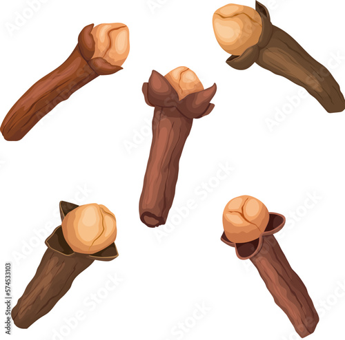 clove spice food set cartoon vector illustration color sign