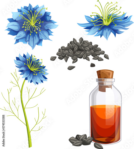 nigella sativa cumin set cartoon vector illustration