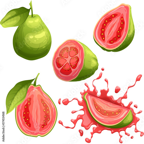 guava fruit fresh set cartoon vector illustration