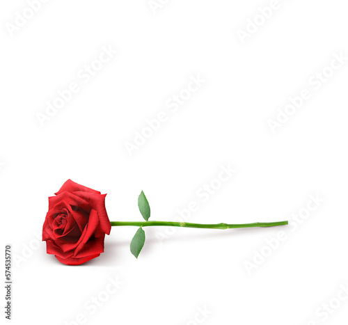 Fototapeta Naklejka Na Ścianę i Meble -  red rose flower  PNG transparent