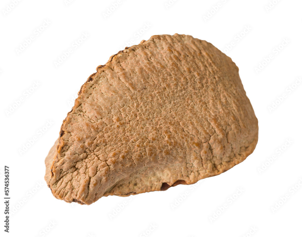 In-sell Brazil nut isolated on the white background. In-sell Brazil nut isolated on the white background.