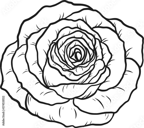 Arthur Bell rose  png.Beautiful flower on transparent background.