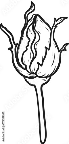 Arthur Bell rose  png.Beautiful flower on transparent background.