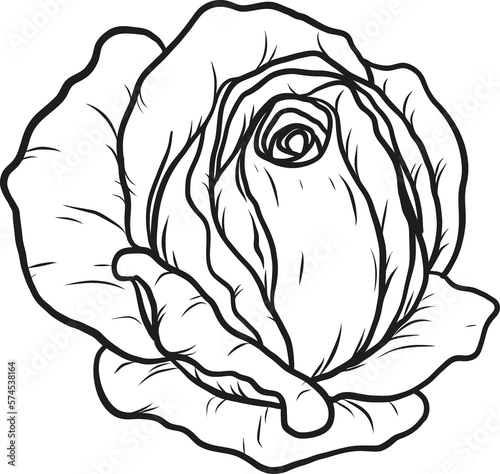 Arthur Bell rose  png.Beautiful flower on transparent background.