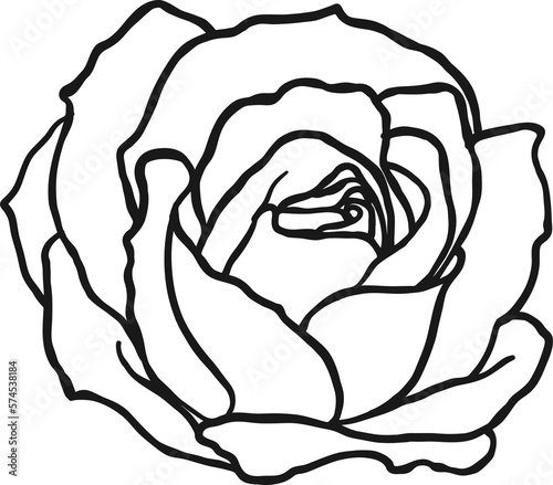 Arthur Bell rose  png.Beautiful flower on transparent background.