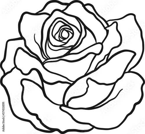 Arthur Bell rose  png.Beautiful flower on transparent background.