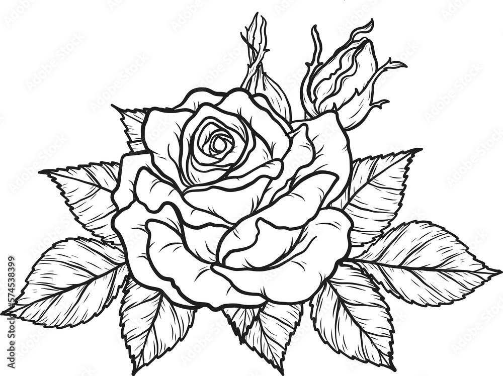 Arthur Bell rose  png.Beautiful flower on transparent background.