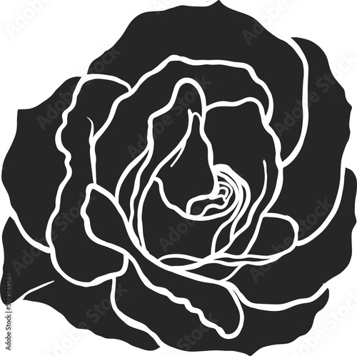 Arthur Bell rose  png.Beautiful flower on transparent background.