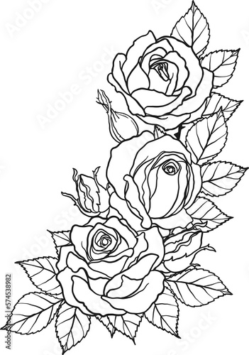 Arthur Bell rose  png.Beautiful flower on transparent background.