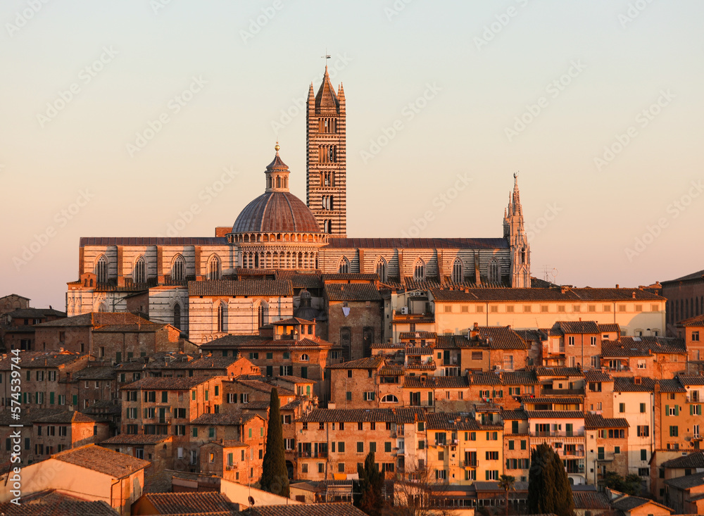 Naklejka premium Bell Tower and Cathedral of Siena in Tuscany of Italy at sunset