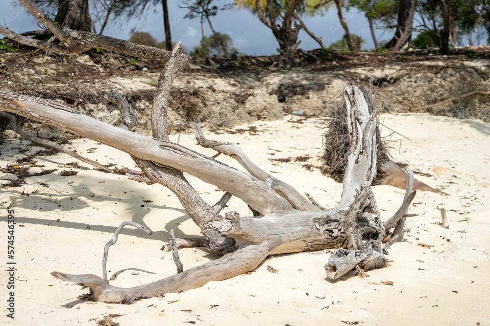 Explore the beauty of Zanzibar, Tanzania, and indulge in a vacation filled with sandy beaches, turquoise oceans, and tropical palm trees