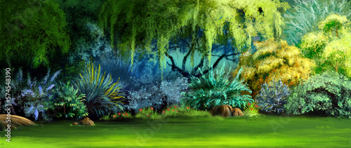 Plants in the rainforest illustration