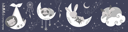 Cute collection of sleeping animals. Cute hare, panda, deer, fox, lion sleeping. A newborn lion cub in a diaper. Dreamcatcher 