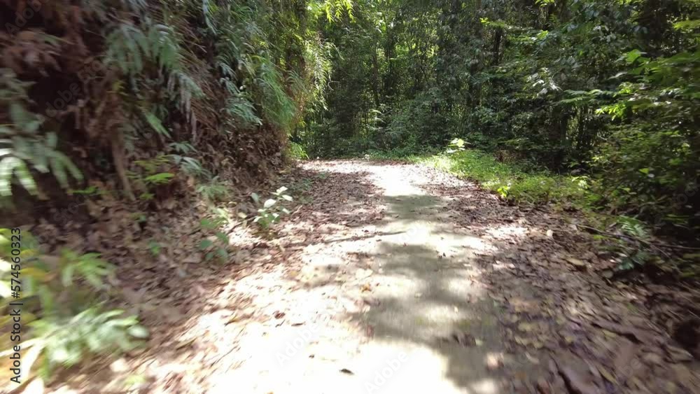 POV move at cement road at Malaysia jungle POV move at cement road at Malaysia jungle