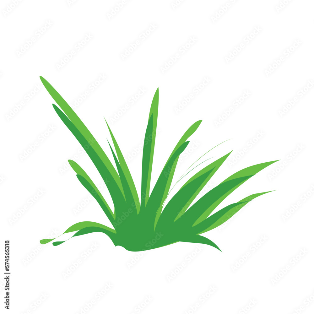 Grass Illustration