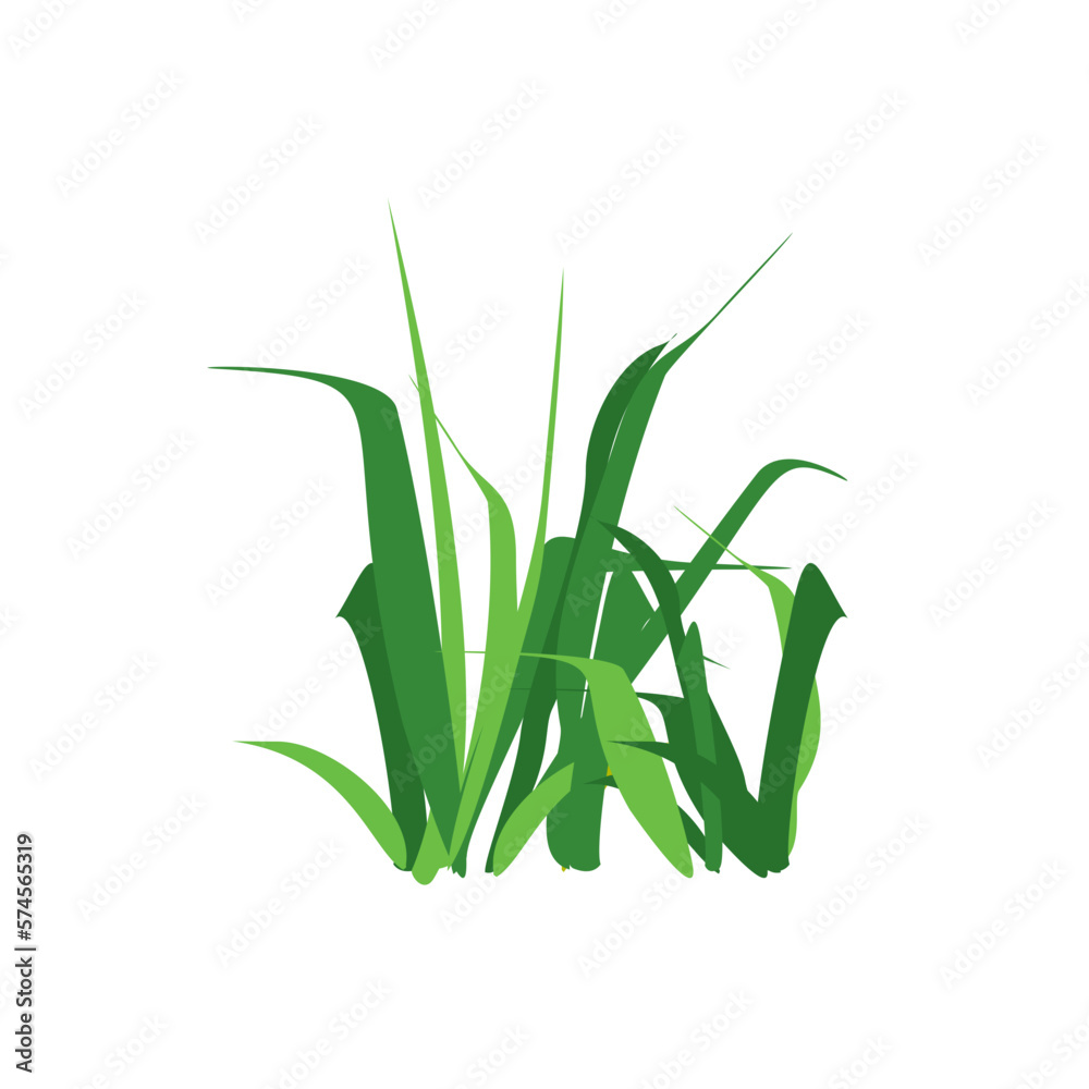 Grass Illustration Grass Illustration