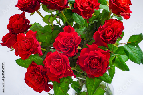 Bouquet of roses on a light background close-up.