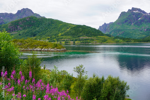 Fjord en Norvège, montagne et océan
