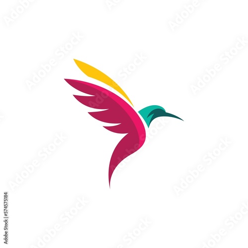 Colibri bird logo images