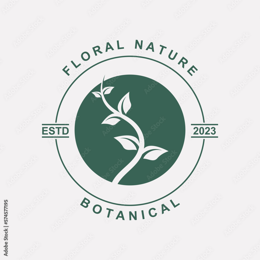 botanical logo illustration for beauty natural organic brand