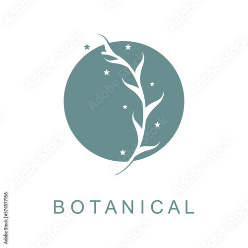 botanical logo illustration for beauty natural organic brand