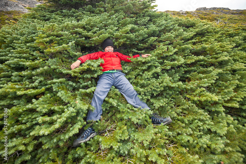 Hiker laying down and taking break in sub-alpine fir tree, Merritt, British Columbia, Canada photo