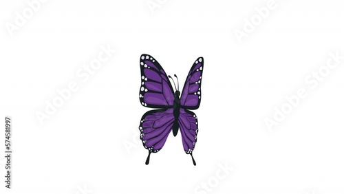 purple butterfly insect flying animation photo