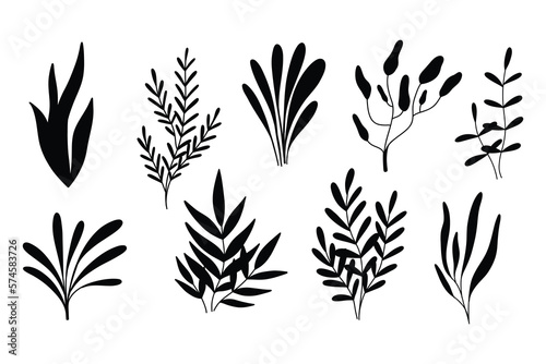 Algae silhouettes set. Vector illustration. Algae collection. Sea plants.