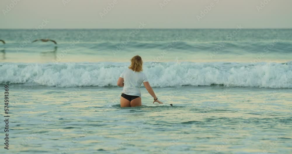 Pair of seabirds pass blonde surfer walking toward rolling green Costa Rica wave Pair of seabirds pass blonde surfer walking toward rolling green Costa Rica wave