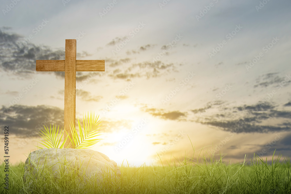 Palm Sunday Palm Sunday