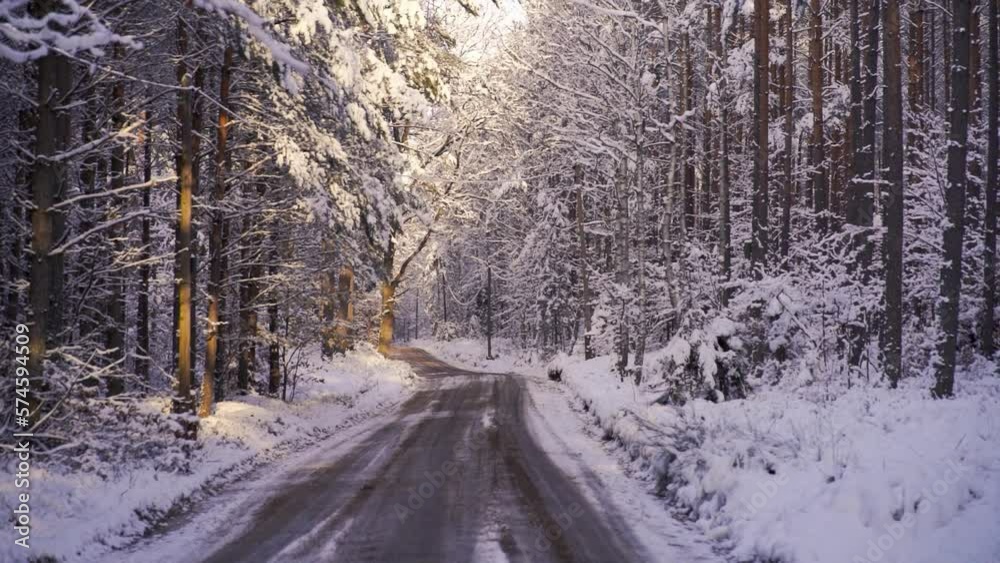 Inside snowy forest. Horizontal panning slow-motion. Inside snowy forest. Horizontal panning slow-motion.