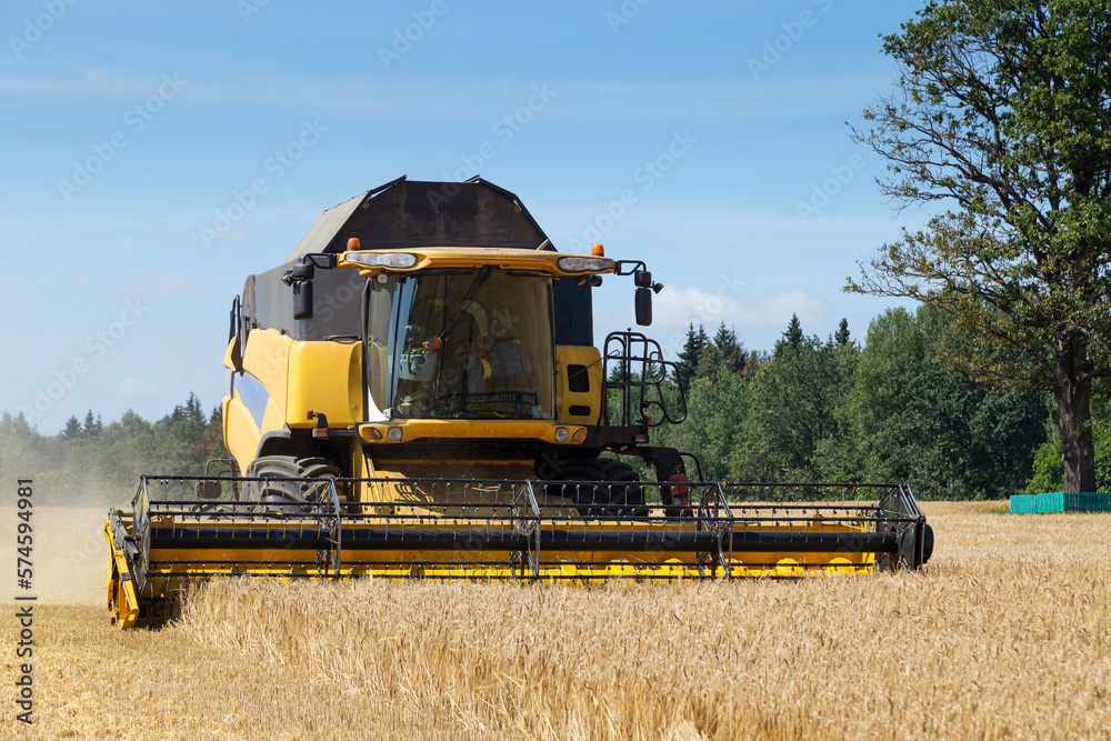 Fototapeta premium Harvesting with combines