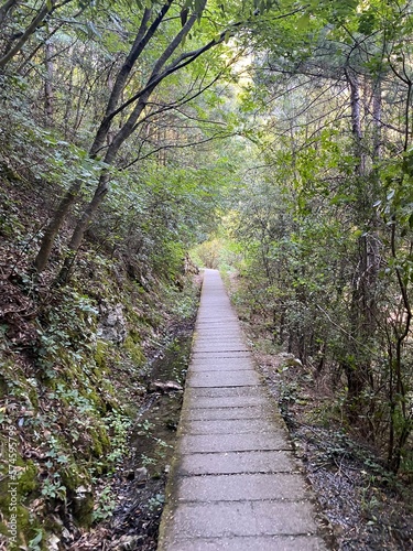 Mountain Olympus Greece Pathway Landscape