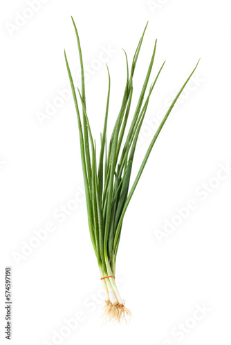Εκτύπωση καμβά Bunch of Fresh Onion